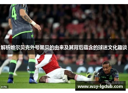 解析维尔贝克外号黑贝的由来及其背后蕴含的球迷文化趣谈