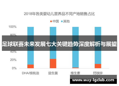 足球联赛未来发展七大关键趋势深度解析与展望