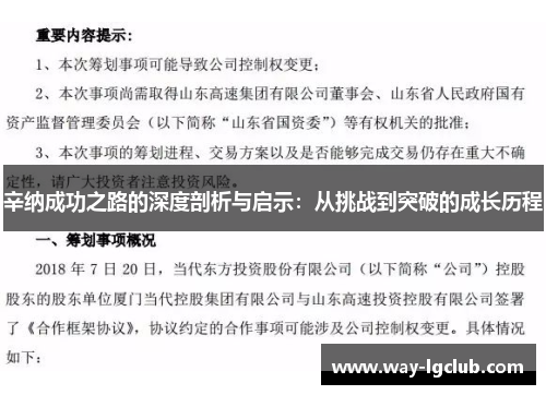 辛纳成功之路的深度剖析与启示：从挑战到突破的成长历程